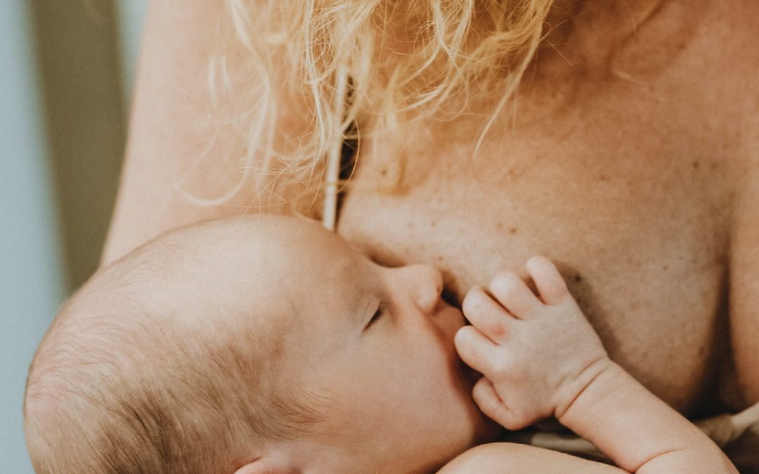 Foods To Increase Breast Milk